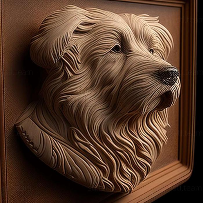 3D model Pyrenean Shepherd dog (STL)